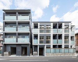 Sastain東鞍馬口、Fillin東鞍馬口