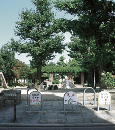 富小路殿公園(徒歩1分・約20m)