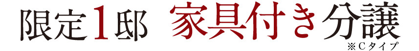 限定1邸家具付分譲