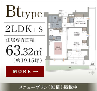 Bt type