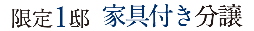 限定1邸 家具付き分譲