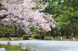 京都御苑