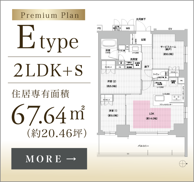 D type