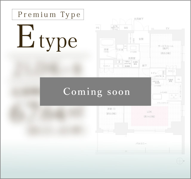 E type
